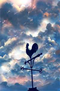 师娘，真给力高质量小说