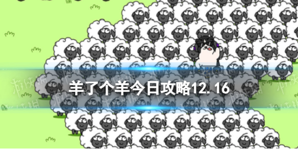 《羊了个羊》今日攻略12.16