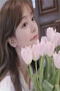 青云美人志高质量小说