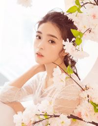 精品推介重生掌家族命脉，我成了财阀继承人