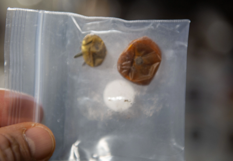 一度怀疑被偷吃：NASA丢失8个月的太空西红柿找到了！