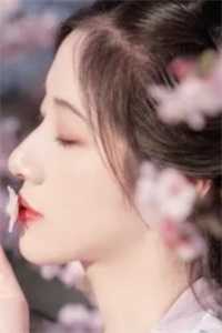 车祸后，美女债主赖上我全本阅读