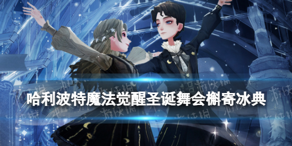 《哈利波特魔法觉醒》圣诞舞会槲寄冰典