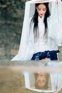 冷澜之顾湛小说阅读