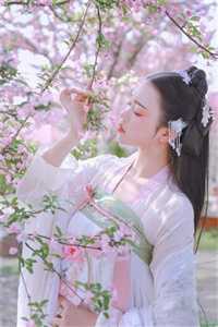 文章精选阅读全民转职：我小小植物拽翻天