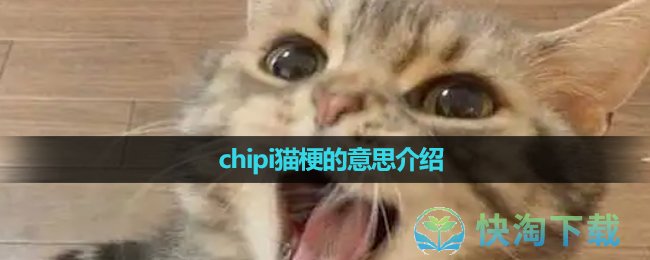 《抖音》chipi猫梗的意思介绍