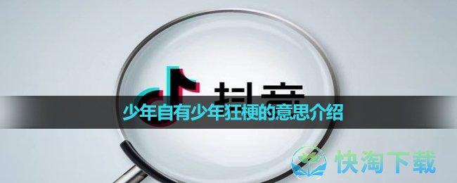 《抖音》少年自有少年狂梗的意思介绍