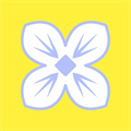 丁香花高清免费完整版下载安装