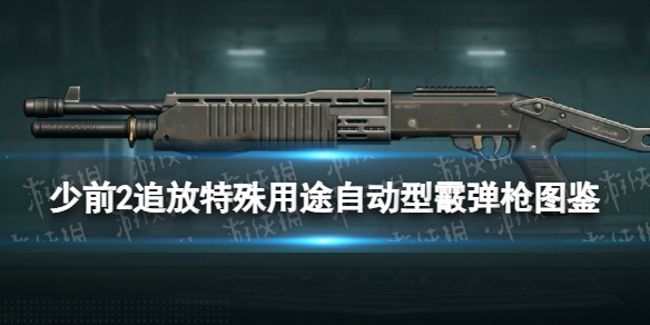 本站1