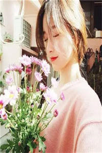 高质量小说九个神级美女姐姐：我是最强小弟