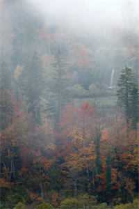 重生后，我靠前世记忆投资赢麻了全集小说推荐