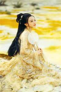 优秀文集娱乐：锦鲤助理，杨老板人麻了