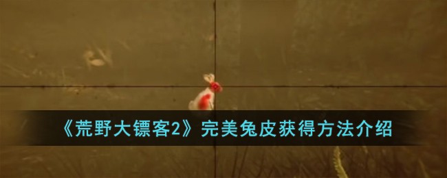 《荒野大镖客2》完美兔皮获得方法介绍
