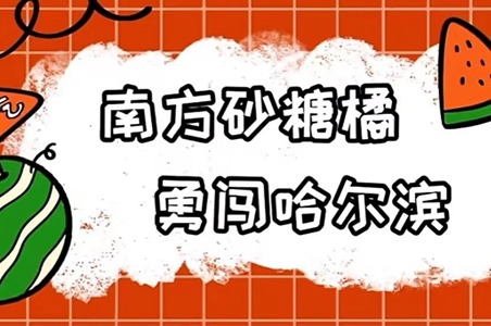 砂糖橘殿下梗意思推荐