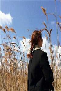 人到中年：妻子的秘密精品阅读