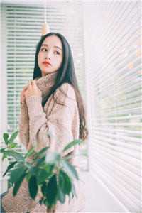 梦回1981，靠双手成为时代巨人全文完结