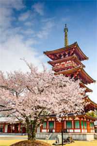 绝世护花高手畅读全文