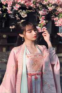 飞天神医全本小说