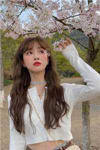 热门小说超神圣医