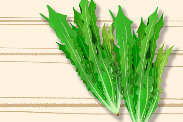 冬天吃什么蔬菜可以驱寒