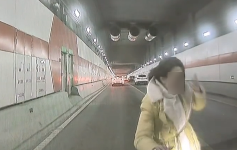 女子乘车突然解开安全带跳车 后车岚图AEB成功避免撞人！