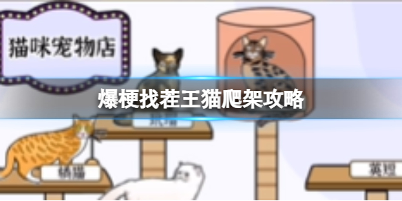 本站1
