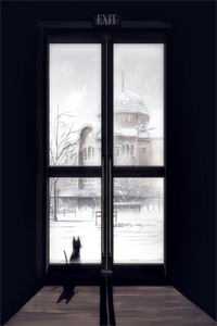 长篇小说阅读逆转时空后，苦命鸳鸯终成眷属