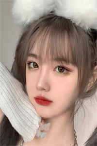 全章节阅读精忠报国