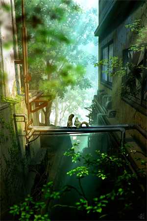 飞禽走兽精修版