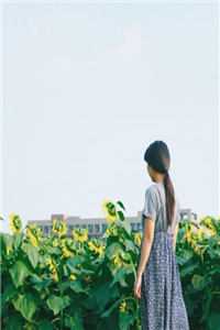 无上神医短篇小说阅读