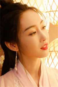 上门女婿开局就离婚完整文集阅读