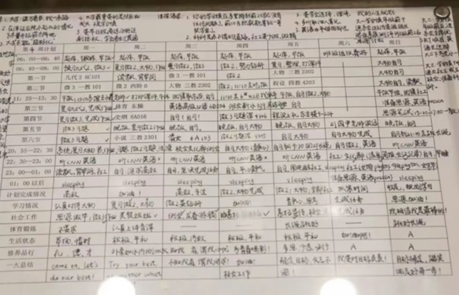 曾以最牛学习计划表火遍全网 清华特奖、双胞胎姐妹双双回国任教！