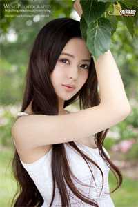无价之宝