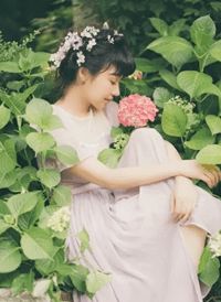 我都成虎王了，系统才激活完结版