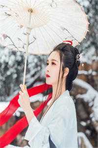 风舞流光