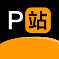 P站PROBURN软件免费安装地址推荐