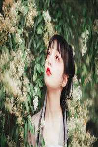 别人修炼他睡觉，最后还无敌了？精品文