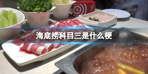 海底捞科目三是什么梗