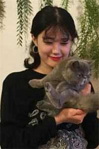开局被逼相亲：和女总裁的狗粮撒遍全网畅销小说推荐