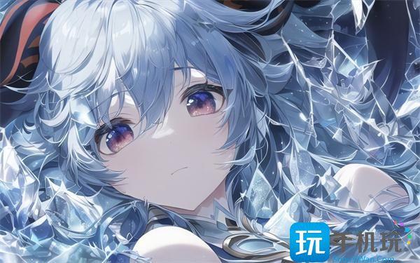 原神20个纠缠之缘兑换码是什么纠缠之缘兑换码大全2024