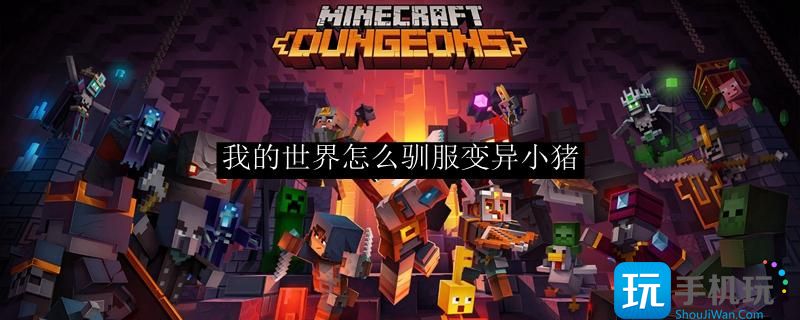 我的世界怎么驯服变异小猪变异小猪驯服方法