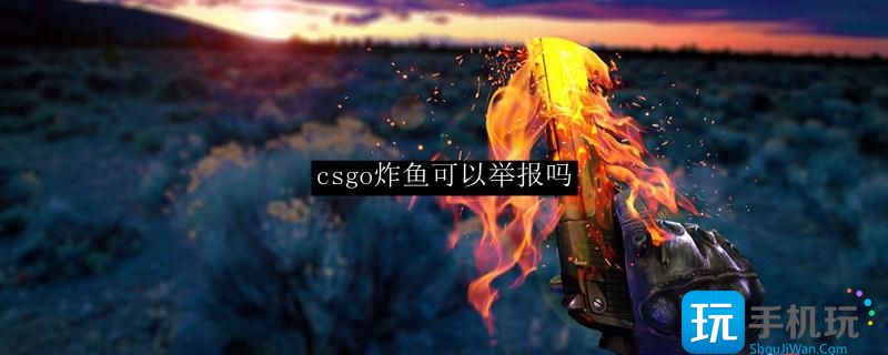 csgo炸鱼可以举报吗炸鱼可以举报吗详情