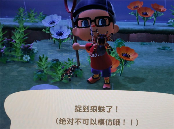动物之森狼蛛怎么抓狼蛛抓取攻略
