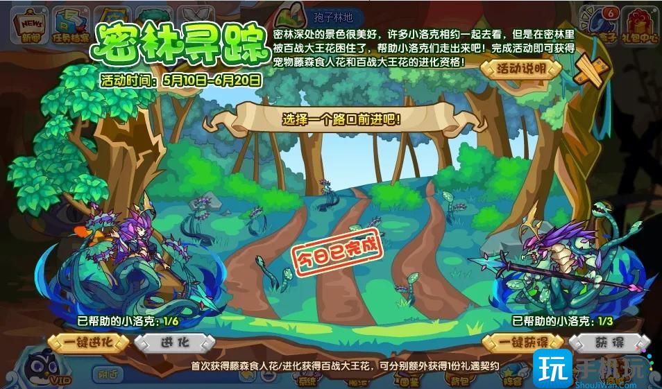 洛克王国密林寻踪活动怎么玩密林寻踪活动攻略