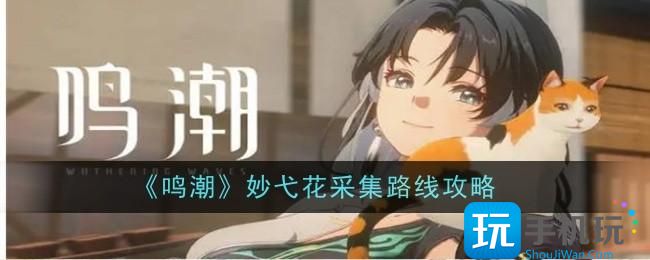 鸣潮妙弋花采集路线是什么妙弋花采集路线攻略