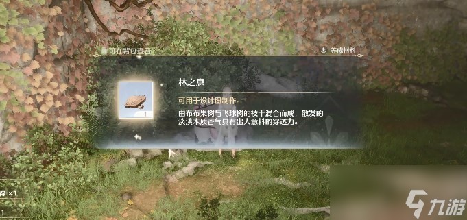 《无限暖暖》全见闻任务大全
