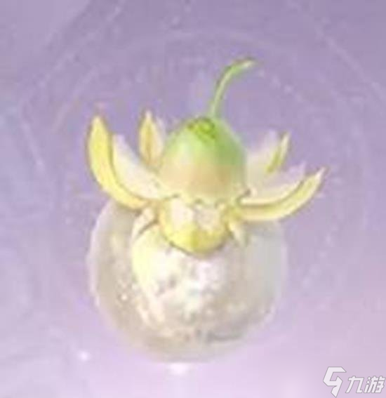 无限暖暖日光果在什么地方获取 日光果制作心愿蔷薇方法