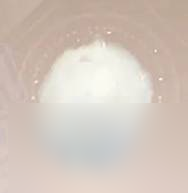 无限暖暖草绒球在哪采集 无限暖暖草绒球采集在哪里及用途介绍