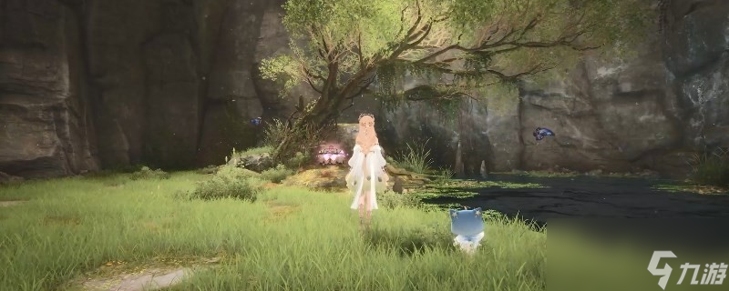 《无限暖暖》照片调查任务大全