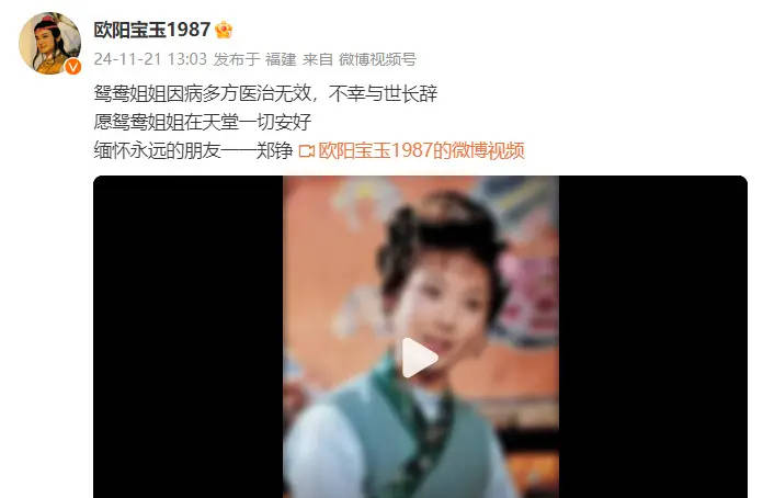 贾宝玉发文悼念郑铮：愿鸳鸯姐姐在天堂一切安好 